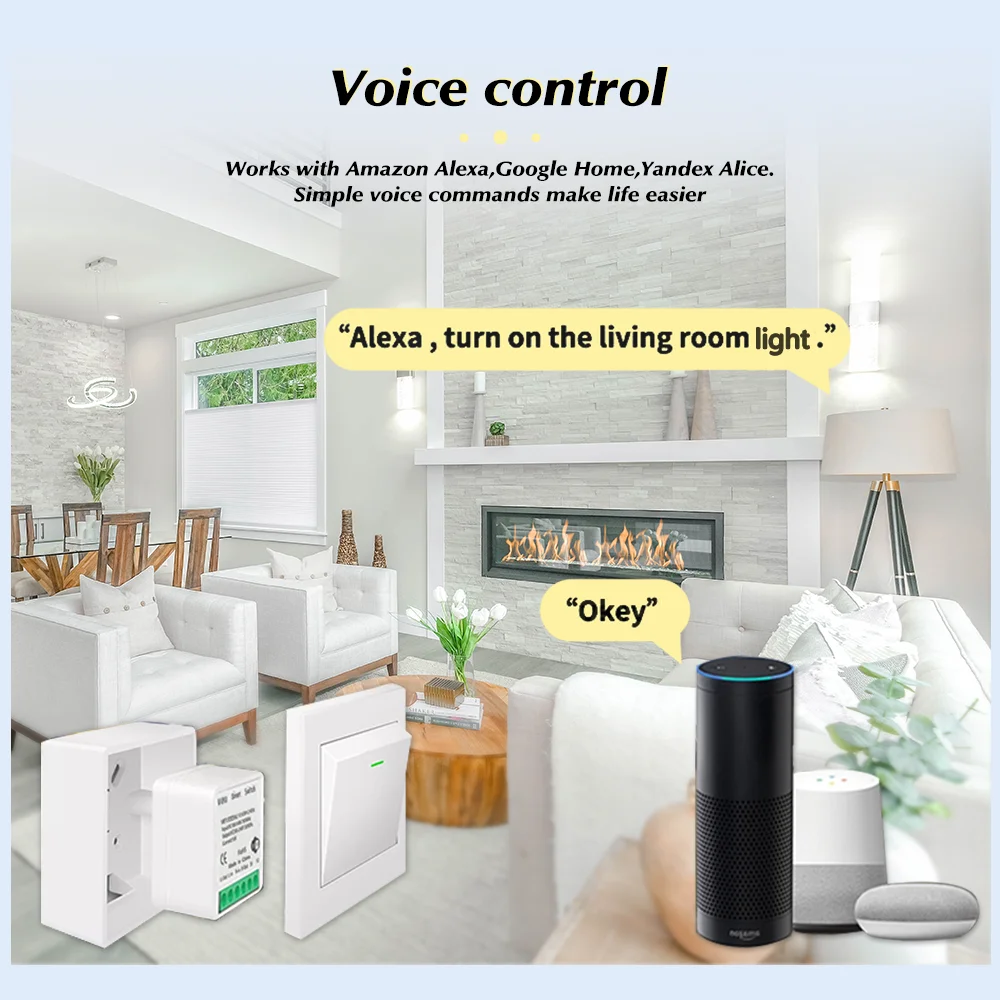 Tuya Mini Akıllı WiFi Anahtarı - Smart Home Diy incelemesi ve fiyatı